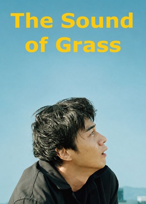 The Sound of Grass